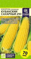Семена Кукуруза сахарная Кубанский сахарный 210