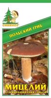 Мицелий зерновой Польский гриб / Симбиоз