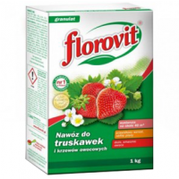 Удобрение Florovit для клубники и земляники, 1 кг (коробка)