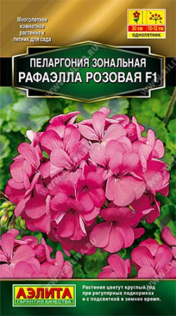 Пеларгония зональная Рафаэлла F1 розовая