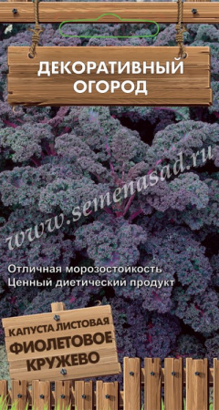 Капуста листовая Фиолетовое кружево