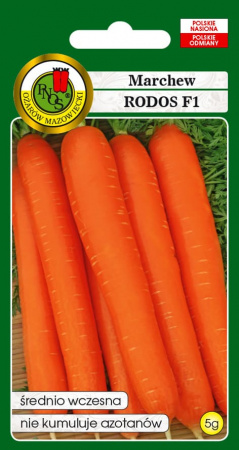 Морковь Родос (marchew Rodos)