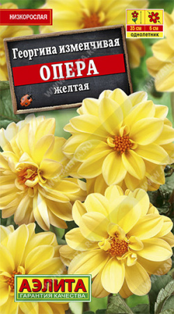 Георгина Опера жёлтая